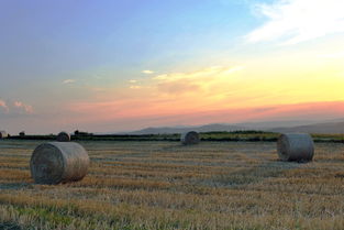 科技在现代农业中的重要性与应用