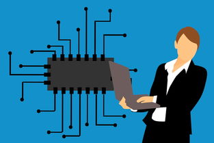 科技与生活的融合，探索小报内容的创新之路