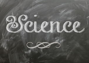 高科技时代的英语教育，机遇与挑战