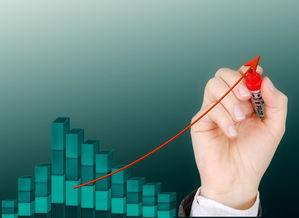 金融管理专业在河南专升本院校中的发展前景与挑战