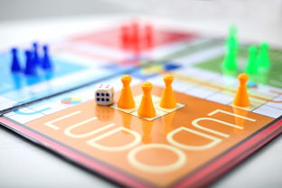 金融科技应用就业前途分析，机遇与挑战并存的未来