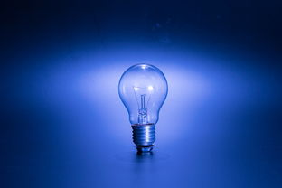 探索人工智能的未来，值得关注的AI专业网站