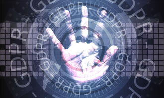 2024年人工智能板块基金排名分析与投资指南