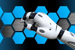 科技的脉动，探索人类与技术共生的未来