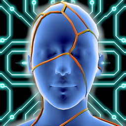 VR技术的未来，趋势、挑战与机遇