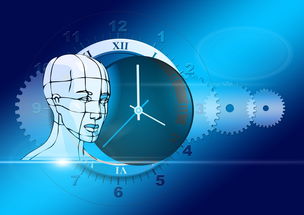 科技生活，初中生的数字时代体验