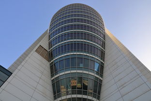 河南科技大学外国语言文学类，培养跨文化交流的桥梁