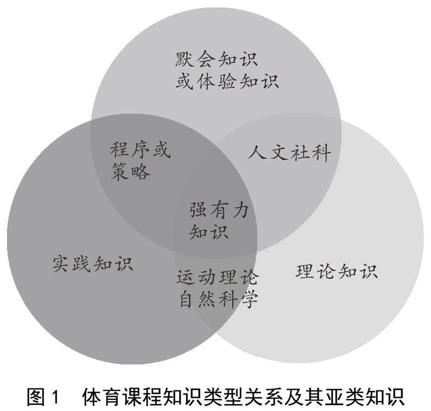 掌握体育知识点问答技巧，提升你的体育观察能力