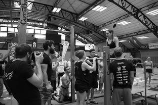 河南科技大学应用技术学院，培养新时代应用型人才的摇篮