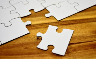 科技龙头股票基金，投资未来的关键