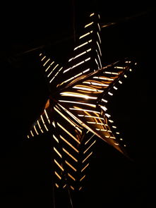 全球流行歌星，音乐界的璀璨明星