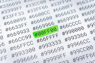 探索最佳IT资讯网站，科技专家的推荐清单