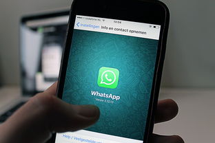 人工智能APP，未来已来，体验科技的无限可能