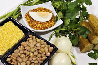 科普一点生活常识：居家安全、饮食健康、环境卫生、应急处理全攻略，让生活更安心便捷  第1张