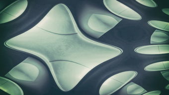 菌的相关知识全解析：从细菌到真菌，轻松掌握微生物世界