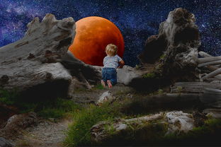 简短的科普知识大全：轻松探索宇宙、自然与科技奥秘，满足你的好奇心