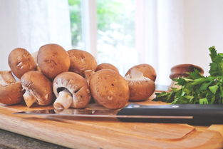 菌类图鉴：轻松识别蘑菇，享受安全采摘与美食乐趣