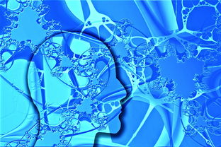 生活科普网推荐：轻松获取实用科学知识，解决日常疑问